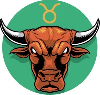 金牛男座今日运势超准，金牛男座今日运势详解