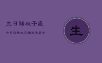 生日猪双子座今日运势，生日猪双子座今日运势