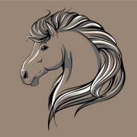 属马今日财运方位查询:穿搭旺财指南