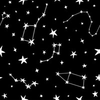 属猪人天蝎座今日运势如何?2025年2月2日完整解析