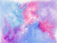 狮子座的今日爱情运势，狮子座今日爱情运势占卜