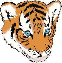 2025年生肖今日运势全解析:精准掌握每日吉凶