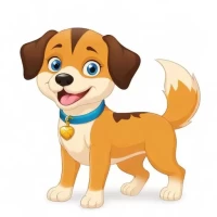 属狗和什么属相最配和什们相克:属狗生肖配对禁忌