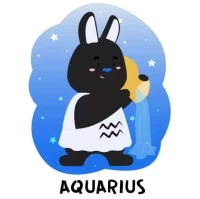 水瓶座今日运势精准解析:星座屋小程序速查指南