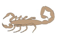 2025天蝎男婚姻预警：5大危机与破解清单