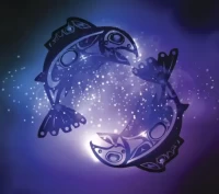 双鱼座女今日运势解析:紫微黄历精准指南