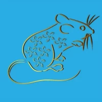 十二生肖每日运势查询指南:水墨先生独家解析