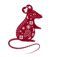 2025生肖运势全解析:12生肖运程完整版