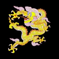 2025生肖运势解析:每月运程完整指南