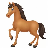 今日生肖马的运势如何:生肖马感情避免争执