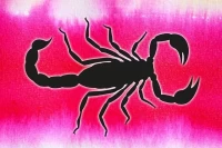 天蝎座女近期财运全解析:3个关键点决定钱包厚度