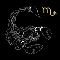 属猪天蝎座2024年运势解析:事业感情双线攻略