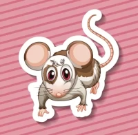 生肖鼠今日运势财运指南:3个旺财注意事项