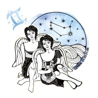 双子座今日爱情运运势(20240613)