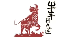 属牛2025年运程解析:事业财运健康全预测